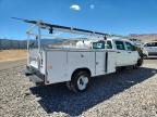 2025 International CV515