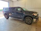 2009 Toyota Tundra Grade