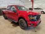 2025 Ford F150 XLT
