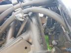 2024 Kawasaki NR001