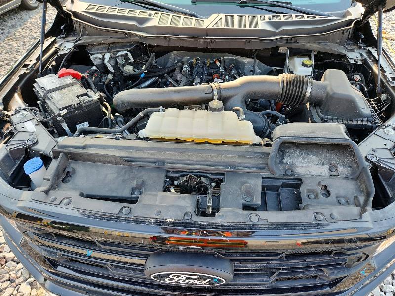 2025 Ford F150 XLT