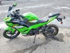 2025 Kawasaki EX500 H