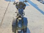 2019 Harley-Davidson Fltrxs