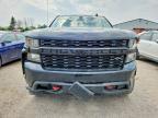 2022 Chevrolet Silverado LTD K1500 Trail Boss Custom