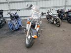 2011 Harley-Davidson Flstc