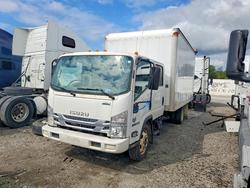 2016 Isuzu NQR BOX Truck en venta en Dyer, IN