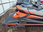 2021 YAM Fxlimited Svho