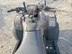 2007 Honda Fourtrax Foreman Rubicon ATV