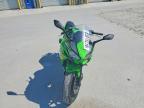 2025 Kawasaki EX650 P