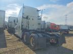 2019 Freightliner Cascadia 125 Semi Truck