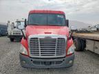 2019 Freightliner Cascadia 113