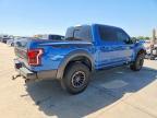 2019 Ford F150 Raptor