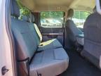 2025 Ford F150 XLT