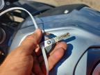 2026 BMW S 1000 RR