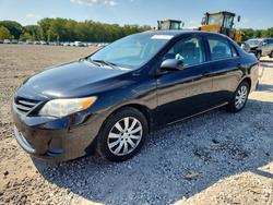 Toyota Corolla salvage cars for sale: 2013 Toyota Corolla LE