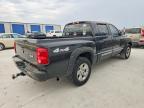 2007 Dodge Dakota Quattro