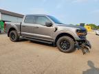 2024 Ford F150 XLT