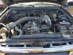 1999 Toyota Tacoma Base