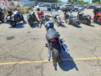 2013 Triumph Bonneville T100