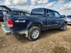 2003 Dodge Dakota Quad SLT