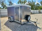 2007 Wells TW101 Enclosed Cargo Trailer