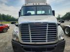2017 Freightliner Cascadia 113