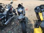2026 Kawasaki EX650 R