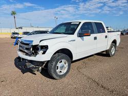 Salvage trucks for sale at Phoenix, AZ auction: 2013 Ford F150 Supercrew
