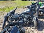 2024 Harley-Davidson Flhx