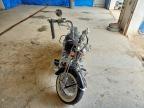 2002 Harley-Davidson Flsts