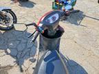 2024 Gato 50-S3 50CC