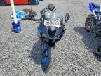 2026 Kawasaki ZX636 K