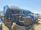 2017 Freightliner Cascadia 125 Semi Truck