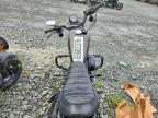 2020 Harley-Davidson XL883 N
