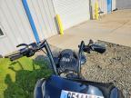 2024 Harley-Davidson Fltrx