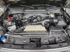 2024 Ford F150 STX