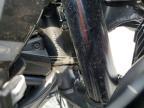 2023 Harley-Davidson RA1250 S