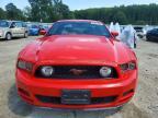 2013 Ford Mustang gt