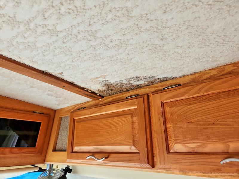 2001 Winnibago 2001 Winnebago Journey DL RV