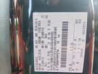 2024 Ford F150 STX