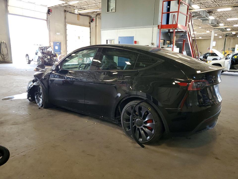 2024 Tesla Model y