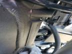 2004 Honda CBR1000 RR