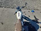 2014 Triumph Bonneville T100