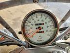 2005 Triumph America