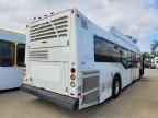 2013 El Dorado Axess