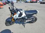 2024 Honda Grom A