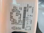 2024 Ford F150 STX