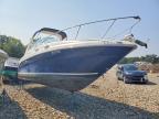 2004 Sea Ray 260 Sundancer-Boat