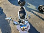 2024 Zhejiang Mopeds