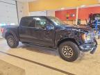 2023 Ford F150 Raptor